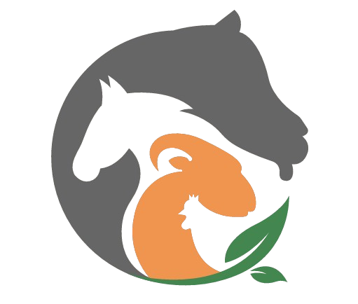 AVAT Logo